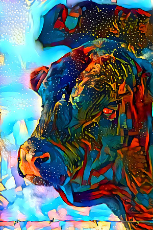 Psychadelic Bull