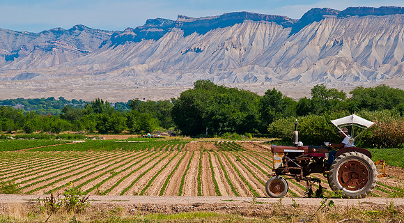 man on tractor copy