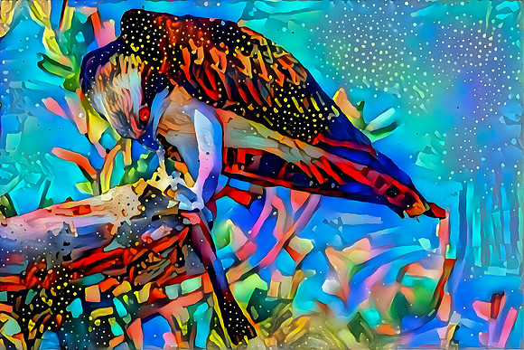 Osprey Catch