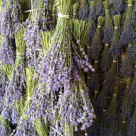produce:fruitloupe:farms-678