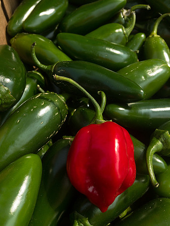produce:fruitloupe:farms-485