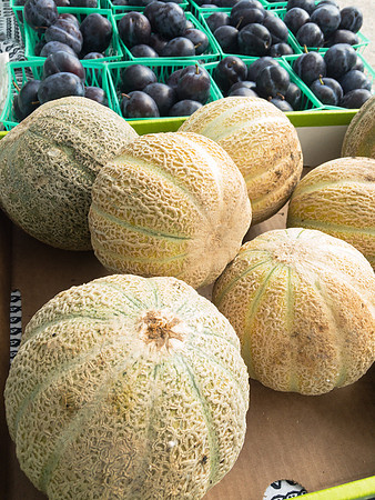produce:fruitloupe:farms-491