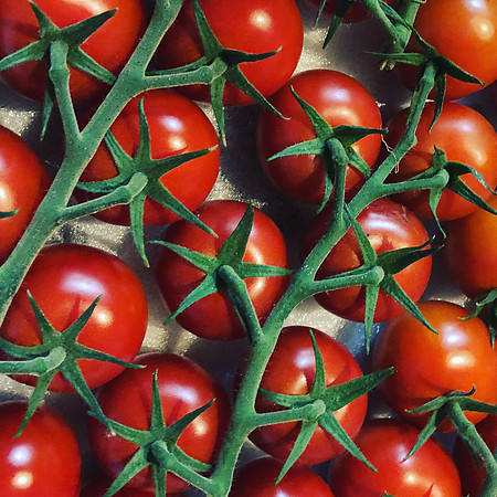 produce:fruitloupe:farms-447