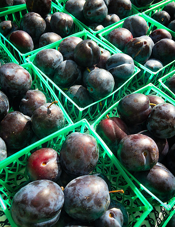 produce:fruitloupe:farms-490