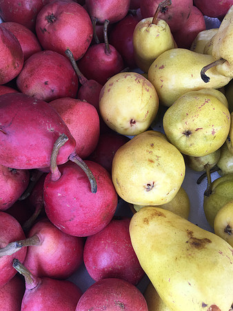 produce:fruitloupe:farms-533
