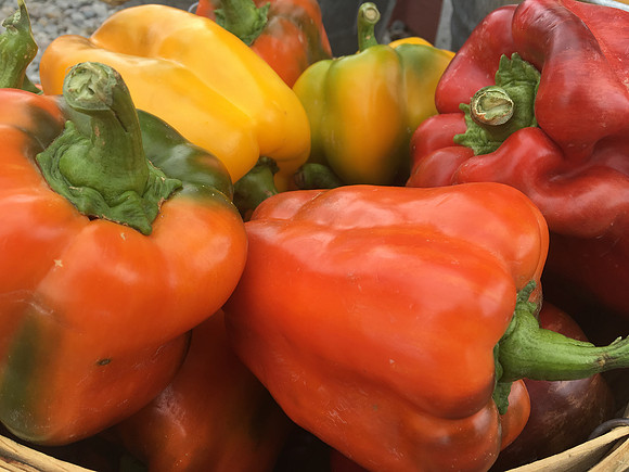 produce:fruitloupe:farms-519