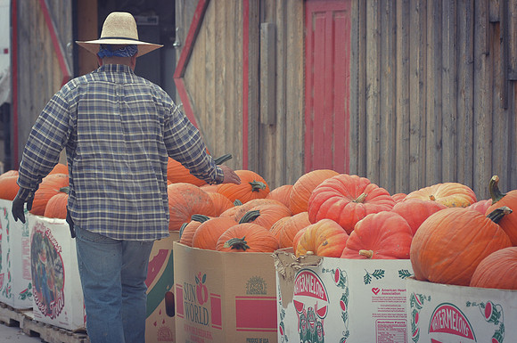 produce:fruitloupe:farms-525