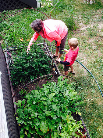 produce:fruitloupe:farms-653