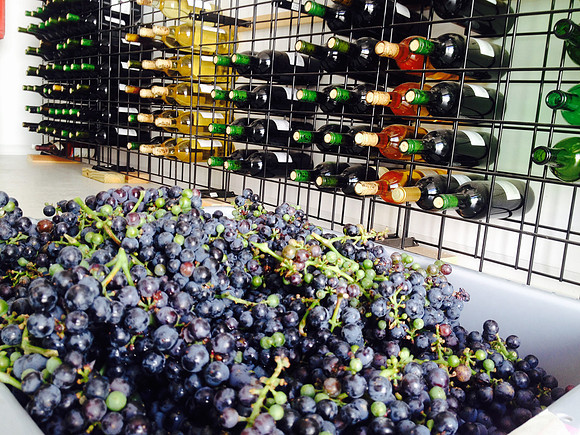 produce:fruitloupe:farms-647