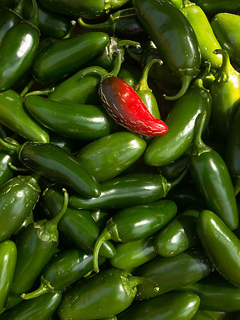 produce:fruitloupe:farms-486