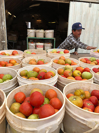 produce:fruitloupe:farms-451