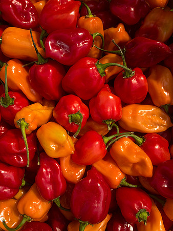 produce:fruitloupe:farms-487