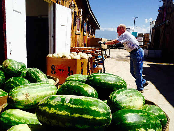 produce:fruitloupe:farms-646
