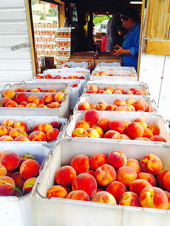 produce:fruitloupe:farms-652