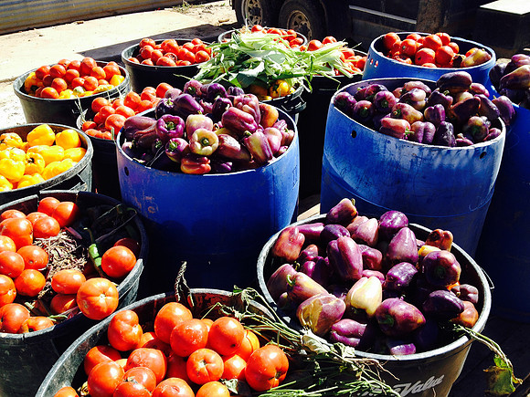 produce:fruitloupe:farms-685