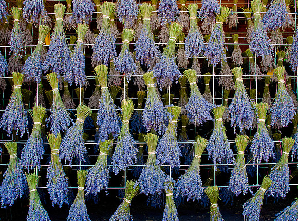 produce:fruitloupe:farms-691