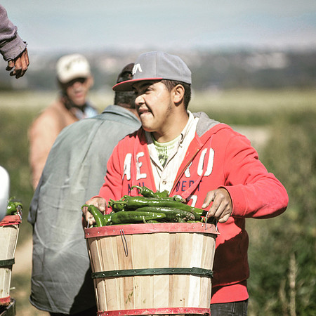 produce:fruitloupe:farms-530
