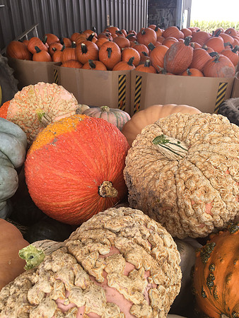 produce:fruitloupe:farms-524