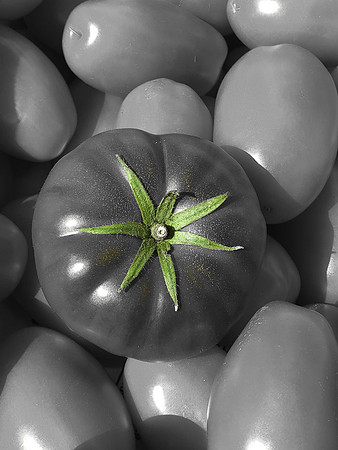 produce:fruitloupe:farms-455