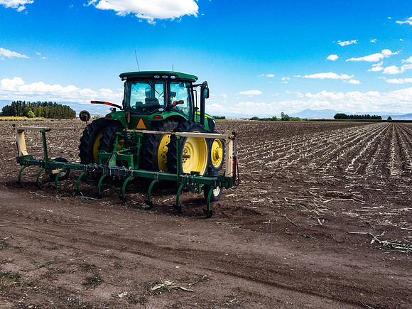 produce:fruitloupe:farms-482