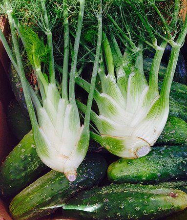 produce:fruitloupe:farms-657