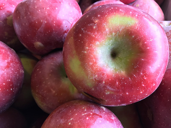produce:fruitloupe:farms-521