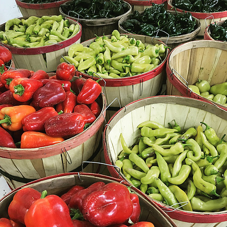 produce:fruitloupe:farms-537