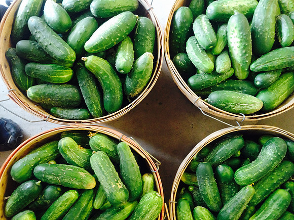 produce:fruitloupe:farms-655