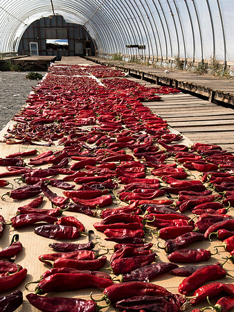 produce:fruitloupe:farms-480