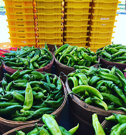 produce:fruitloupe:farms-442