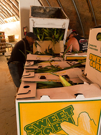 produce:fruitloupe:farms-495