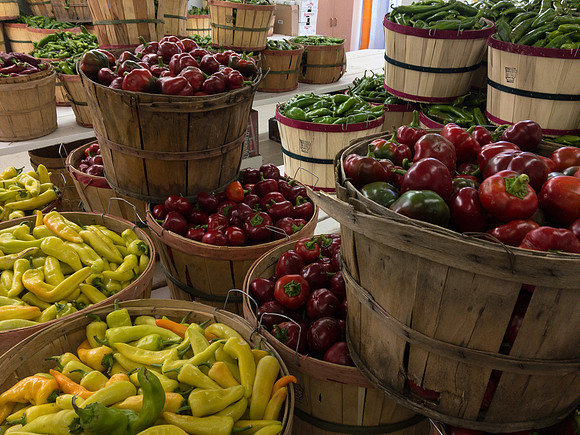 produce:fruitloupe:farms-481