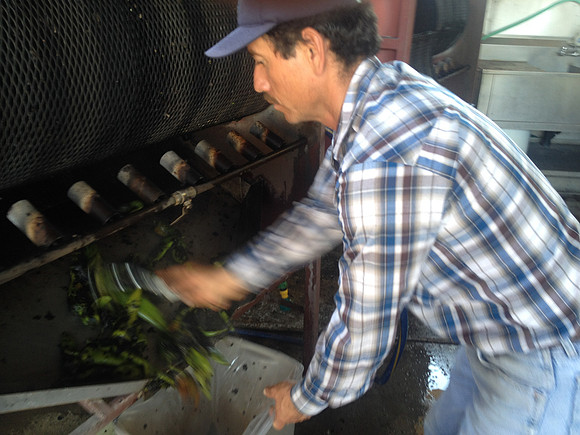 produce:fruitloupe:farms-640