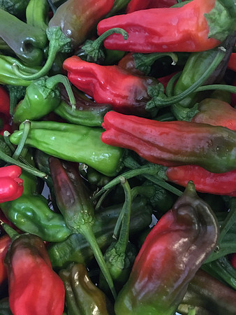 produce:fruitloupe:farms-586