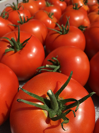 produce:fruitloupe:farms-579