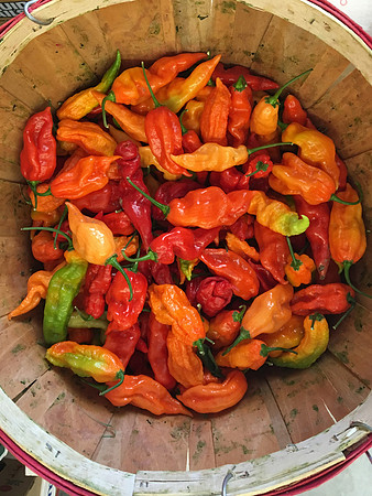 produce:fruitloupe:farms-551