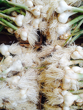 produce:fruitloupe:farms-633