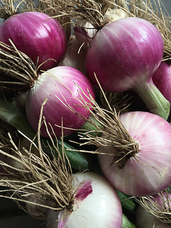 produce:fruitloupe:farms-632