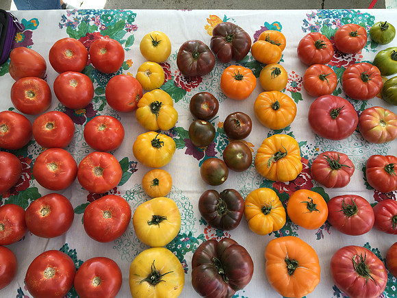 produce:fruitloupe:farms-626