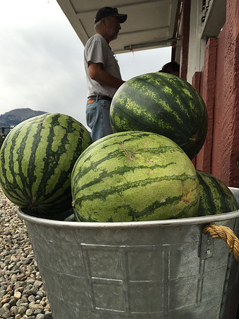 produce:fruitloupe:farms-578