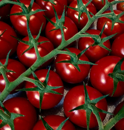 produce:fruitloupe:farms-587