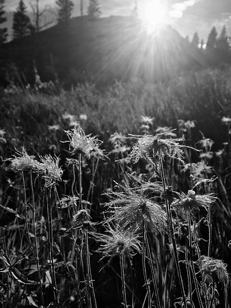 produce:fruitloupe:farms-585