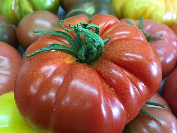 produce:fruitloupe:farms-591