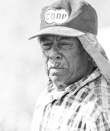 produce:fruitloupe:farms-546