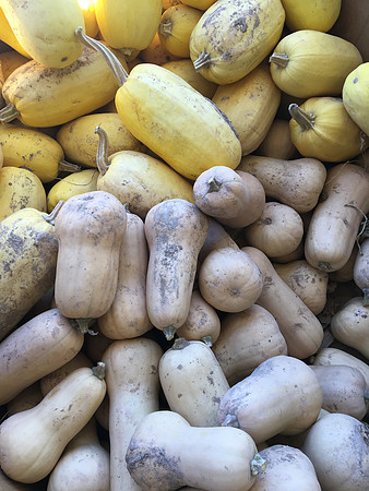 produce:fruitloupe:farms-552