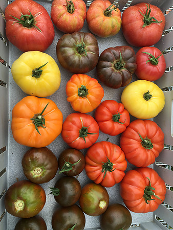 produce:fruitloupe:farms-630