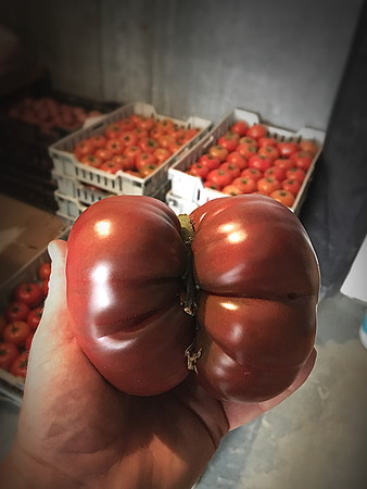 produce:fruitloupe:farms-624