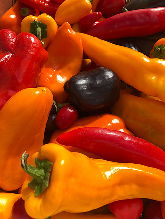 produce:fruitloupe:farms-433