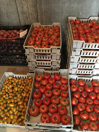 produce:fruitloupe:farms-625