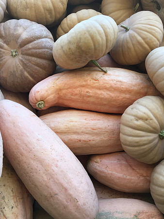 produce:fruitloupe:farms-553